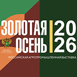 золотаяосен654584584